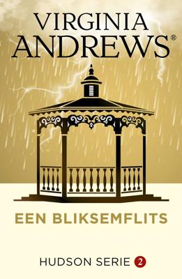 Een bliksemflits (Paperback)