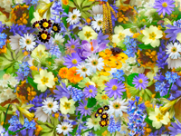 Vinyl vloerkleed Bloemen en planten Ander soort bloemenveld