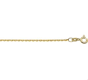 TFT Collier Geelgoud Anker Plat 1,2 mm x 41 -45 cm