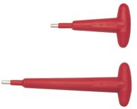 Friedrich T-inbussleutel Lang 1000V 6mm