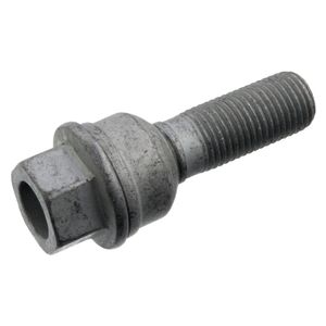 wielbout 103935
