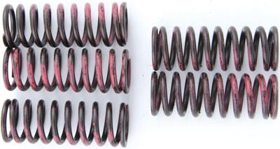 TRW Clutch spring kit mef315-5
