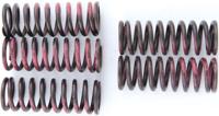 TRW Clutch spring kit mef315-5