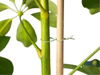 Klimdraad met stroeve coating groen 50m - Nature