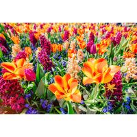 Inductiebeschermer - Oranje bloemen - 91.2x52 cm