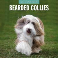 Bearded Collie Kalender 2026