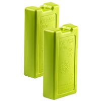 Plasticforte koelelementen - 8x stuks - 1100 ml - 22 x 11 x 5 cm - groen - kunststof