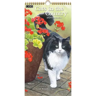 Cats in the Country Kalender 2026 Small