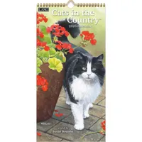 Cats in the Country Kalender 2026 Small