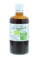 Natura Sanat Vitis vinifera fol/druivenblad tinctuur bio