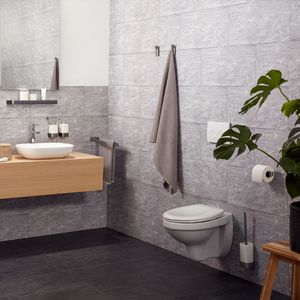 Toiletborstelset Haceka Aline Grey 41,4 cm Aluminium Mat Grijs