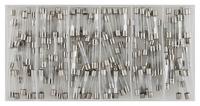 Assortiment glaszekeringen 120 stuks 4822329