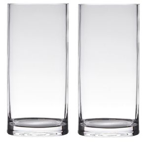 Set van 2x stuks transparante home-basics cylinder vorm vaas/vazen van glas 20 x 12 cm