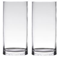 Set van 2x stuks transparante home-basics cylinder vorm vaas/vazen van glas 20 x 12 cm