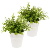 Kunstplant eucalyptus - 2x - groen - in witte pot - 22 cm - thumbnail