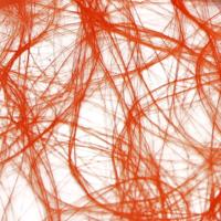 Vaessen Creative • sizoweb 60cmx25m oranje