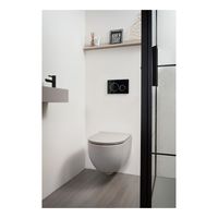 Xenz Gio randloos hangend toilet met softclose zitting mat grijs