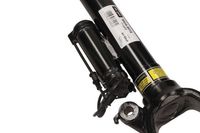Pneumatische veerpoot 110570
