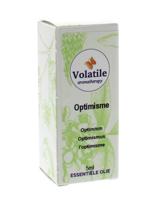 Volatile Optimisme - thumbnail