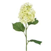 Hortensia Kunsttak 71cm Creme/groen