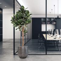 Ficus Elastica Robusta Kunstboom Deluxe 200cm