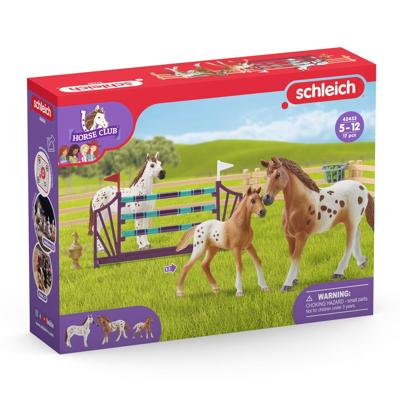 Schleich horse club lisa's toernooitraining