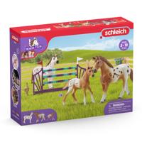 Schleich horse club lisa's toernooitraining