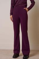 Studio Anneloes Flair Bonded Trousers 13350 Flared 3800 Blackberry