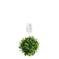 Mica Decorations Buxus Bal - 12x12x12 cm - Polyethyleen - Groen