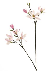 Magnolia spray cassablanca roze 102cm