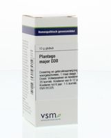 Plantago major D30