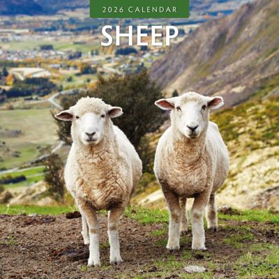 Schapen Kalender 2026