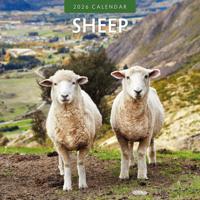Schapen Kalender 2026