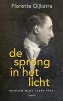 De sprong in het licht De sprong in het licht