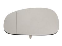 Spiegelglas, buitenspiegel 6102021271995P