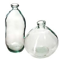 Bloemenvazen set - 2x - Organische fles vorm - helder transparant - glas