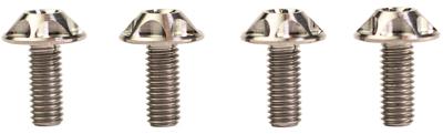 SILCA Screw silver 4pcs.