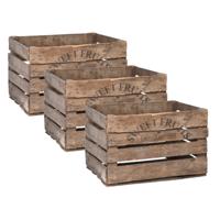 Fruitkist - Set van 3x stuks - 42 x 51 x 30 cm - hout - opberg - krat - opbergkrat