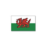 Gevelvlag/vlaggenmast vlag Wales  90 x 150 cm   - - thumbnail