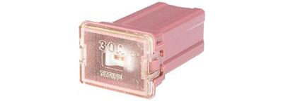 HELLA pal-zekering "vrouwelijk klein" (f) protection "female small 30a
