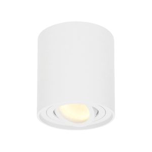 Dimbare LED Opbouwspot/plafondspot plafond Ray Wit incl. GU10 spot 5W 2700K IP20 kantelbaar