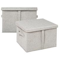 5Five Opbergdoos/box met deksel - 2x - lichtgrijs - L35 x B31 x H25 cm - Stevig karton/polyester