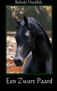 Een zwart paard - Belinda Meuldijk - ebook