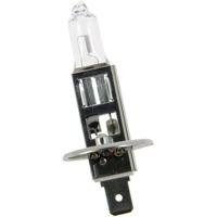 MICHELIN Life + 50% 1 H1 12V 55W