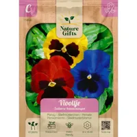 Viooltje zwitserse reuzen mengsel 60st