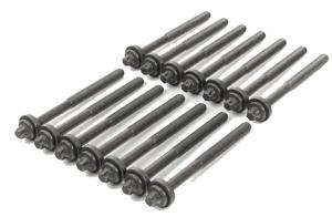 Cilinderkopboutset BMW (14 ST.) 143200401