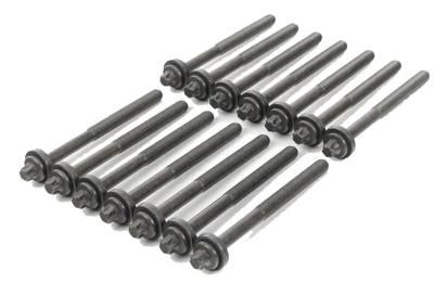 Cilinderkopboutset BMW (14 ST.) 143200401
