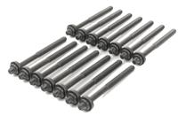 Cilinderkopboutset BMW (14 ST.) 143200401