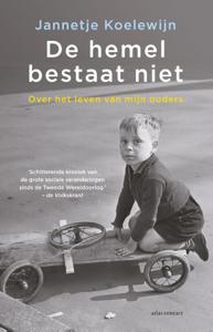 De hemel bestaat niet (Paperback)