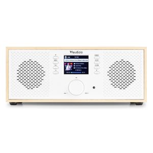 Internetradio en Spotify Connect - Audizio Rimini - AUX - Sleep Timer - Wit